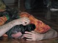 Zodiacon 2012 369.jpg